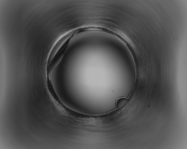 X0000088470980200705221359