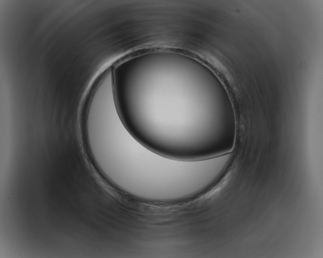 X0000088470981200705221359