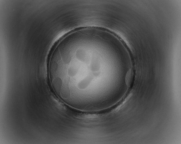 X0000088470982200705221359