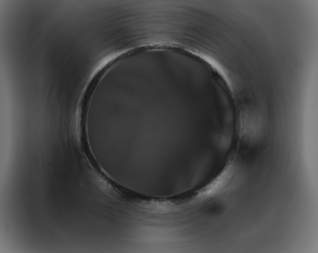 X0000088470983200705221359