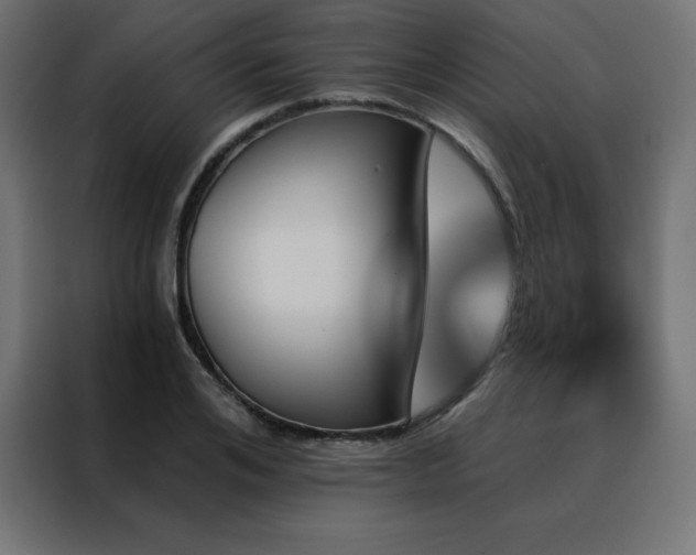 X0000088470984200705221359