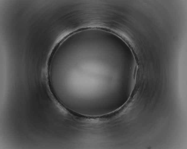 X0000088470990200705221359