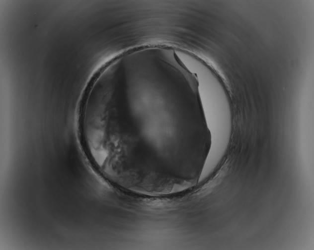 X0000088470991200705221359