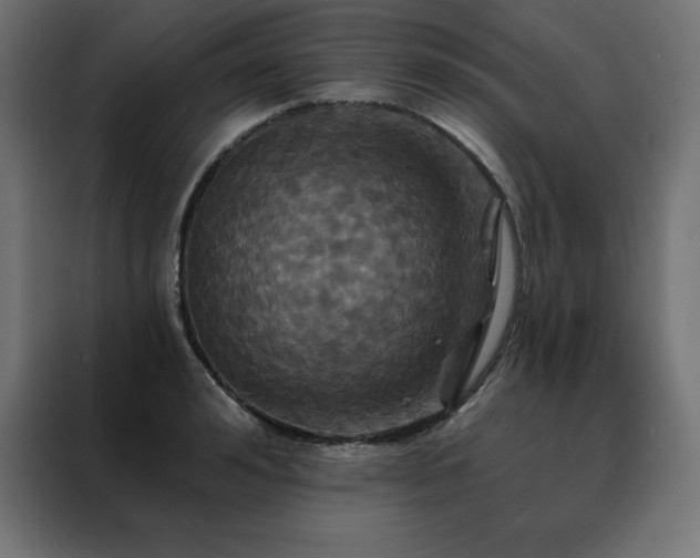 X0000088470992200705221359