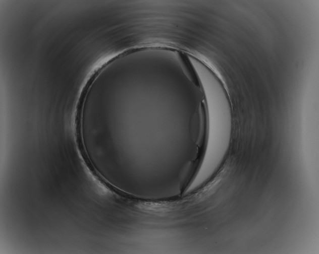 X0000088470995200705221359