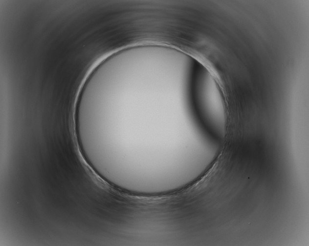 X0000088470996200705221359