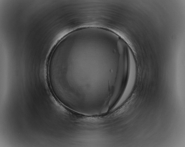 X0000088470998200705221359