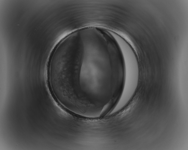 X0000088470999200705221359