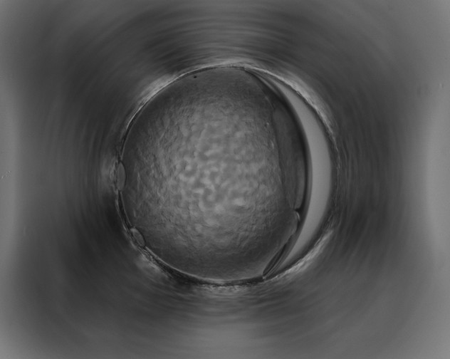 X0000088471001200705221359