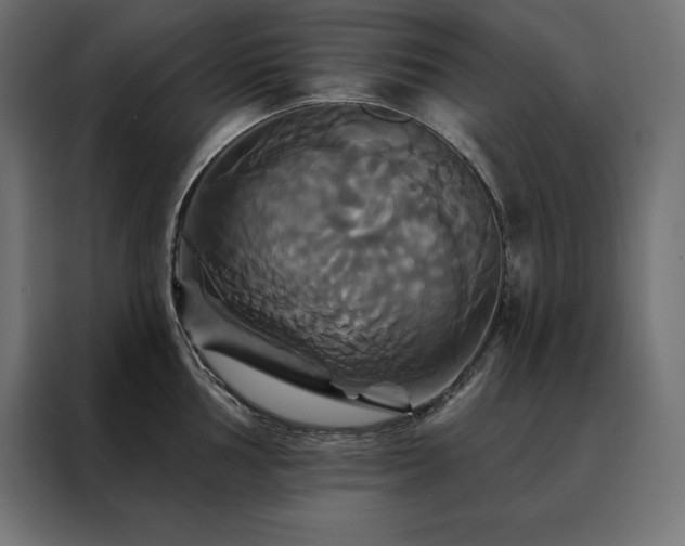 X0000088471002200705221359