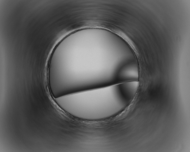 X0000088471004200705221359