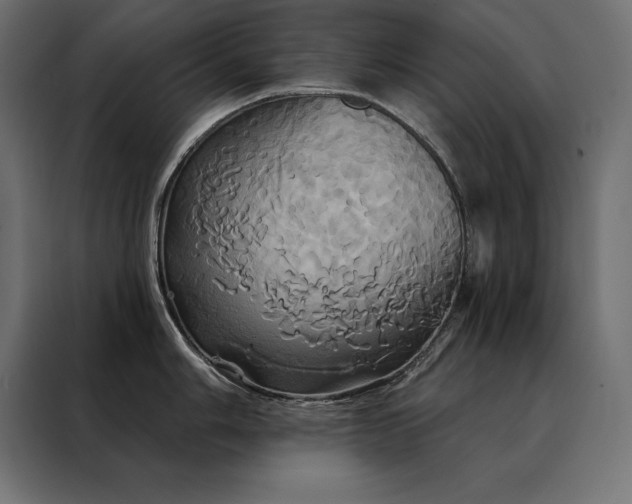 X0000088471006200705221359