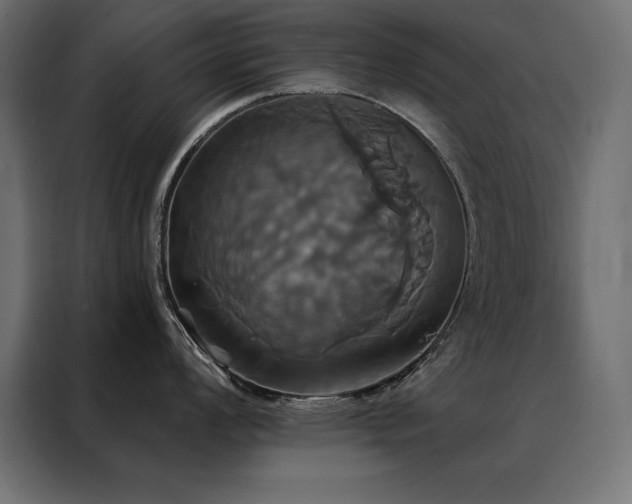 X0000088471008200705221359