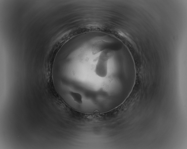 X0000088471015200705221358