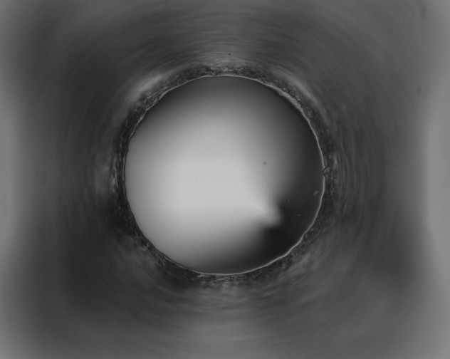 X0000088471016200705221358