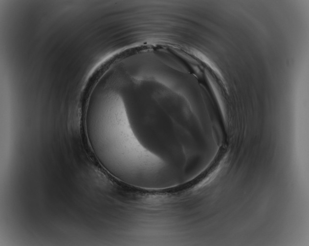 X0000088471021200705221358