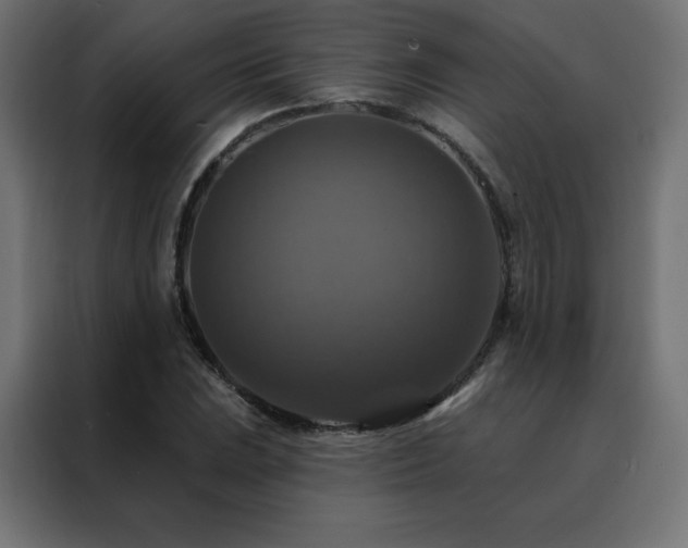 X0000088471023200705221358