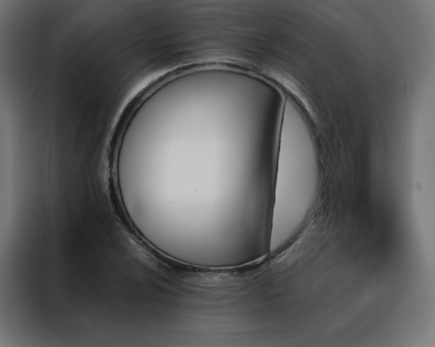 X0000088471024200705221358