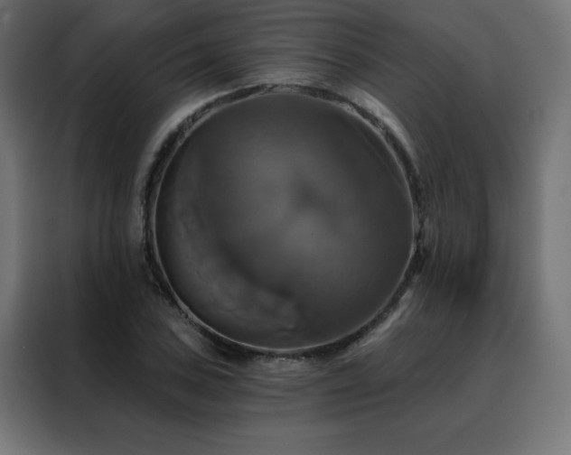 X0000088471027200705221359