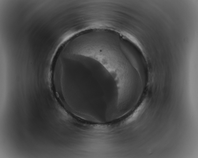 X0000088471029200705221359