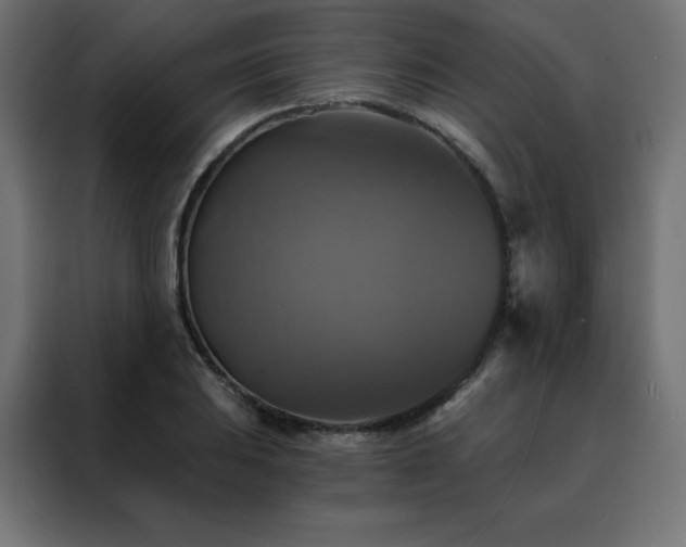 X0000088471031200705221359