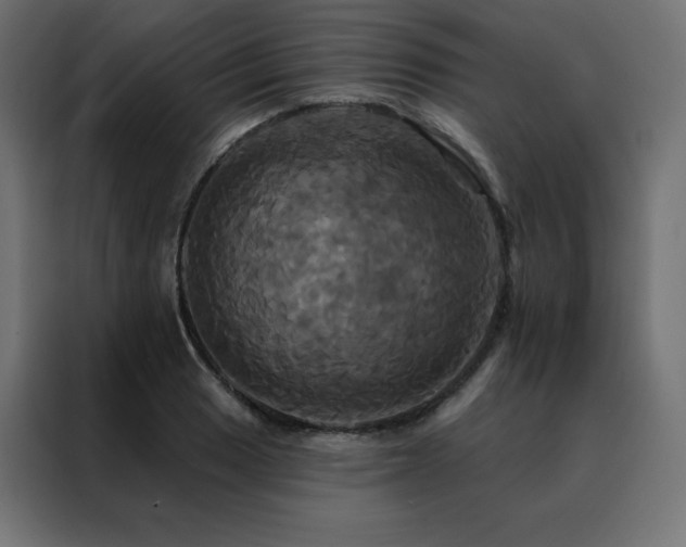 X0000088471033200705221359