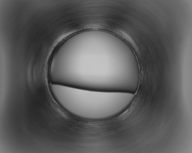 X0000088471035200705221359