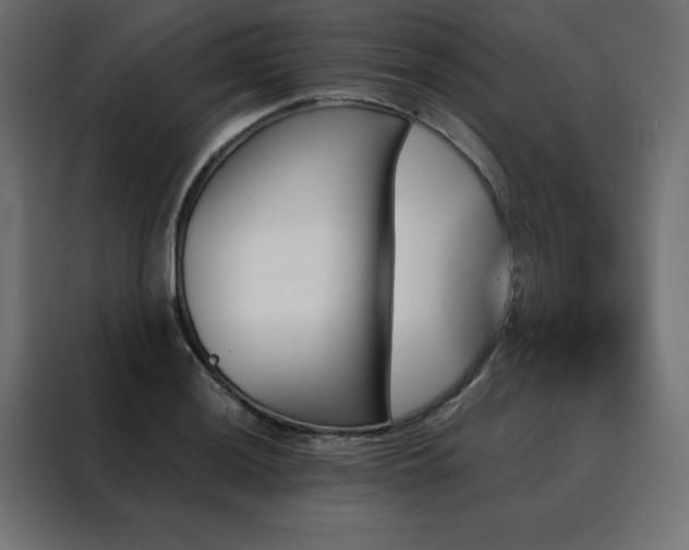 X0000088471036200705221359