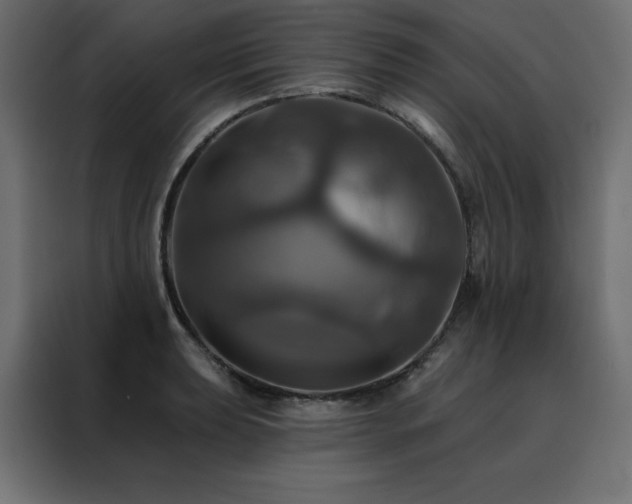 X0000088471039200705221359