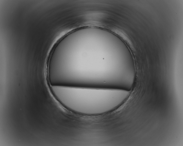 X0000088471040200705221359