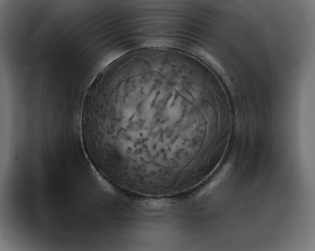 X0000088471041200705221359