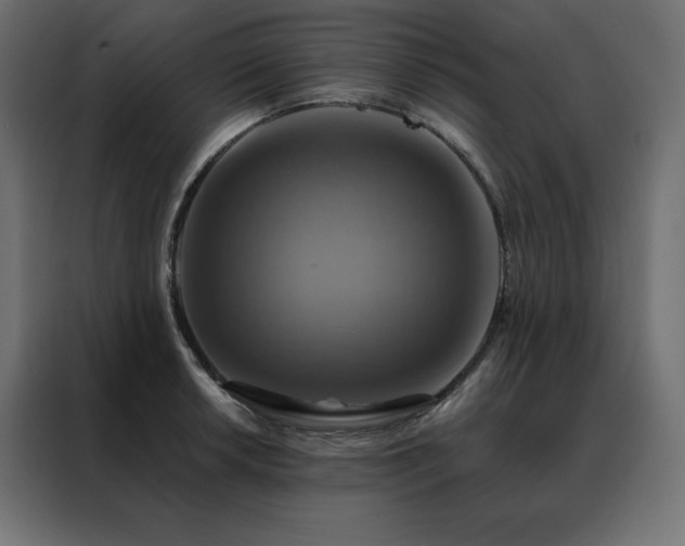 X0000088471042200705221359