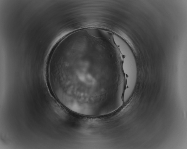 X0000088471043200705221359