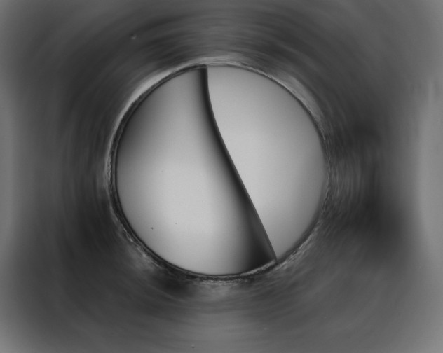 X0000088471044200705221359