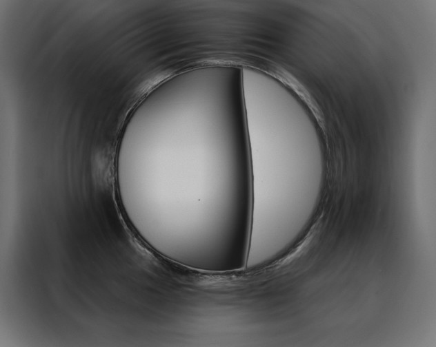 X0000088471049200705221359