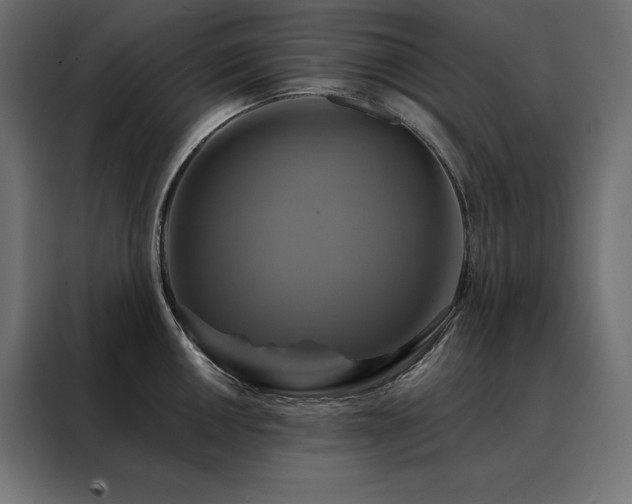 X0000088471050200705221359