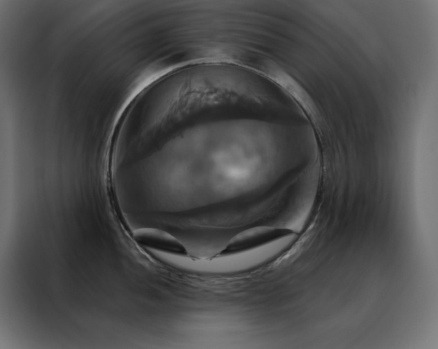 X0000088471052200705221359