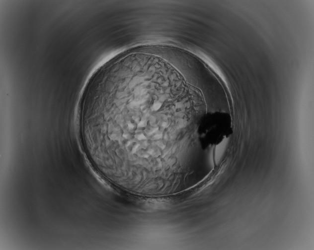 X0000088471053200705221359