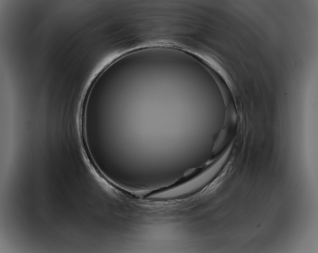 X0000088471054200705221359