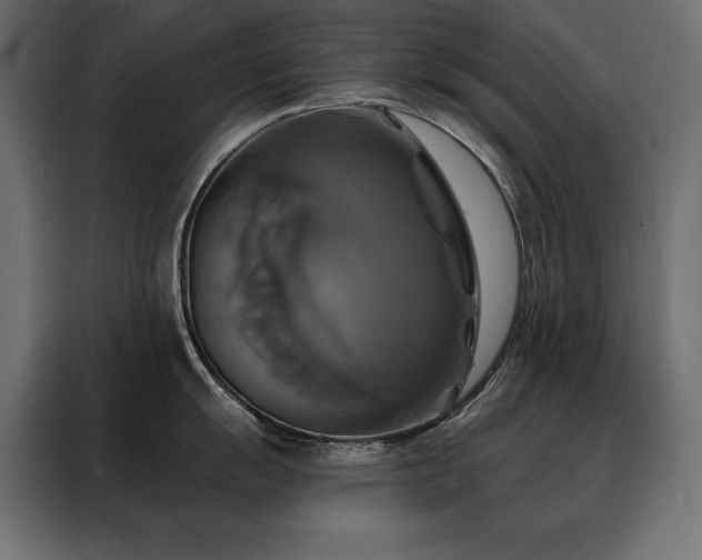 X0000088471055200705221359