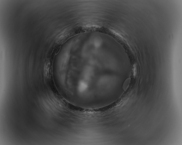 X0000088471059200705221358