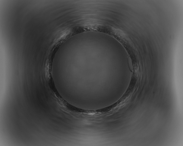 X0000088471060200705221358