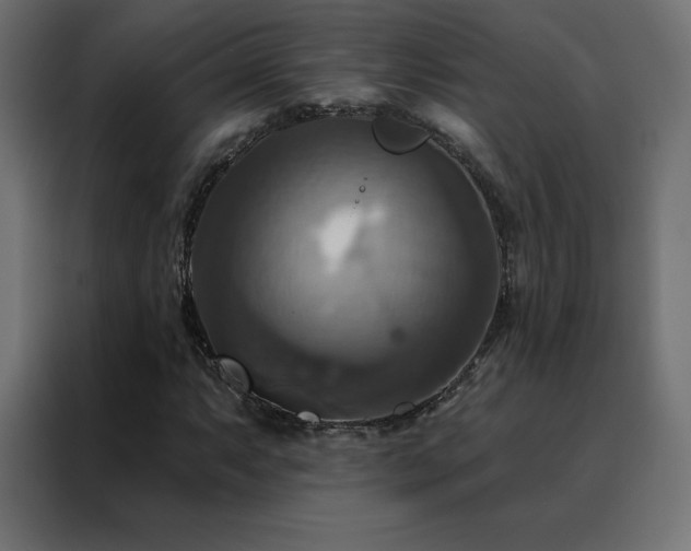 X0000088471063200705221358