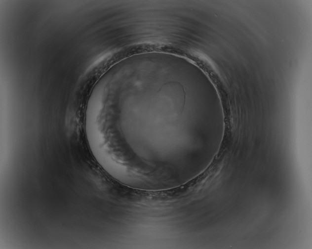 X0000088471064200705221358
