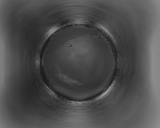 X0000088471065200705221358