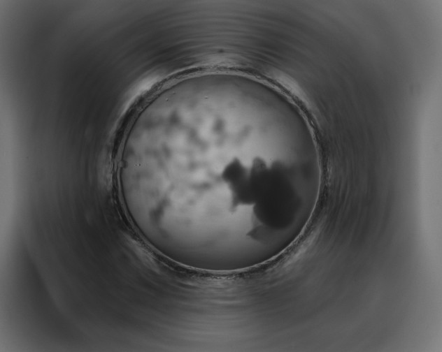 X0000088471067200705221358