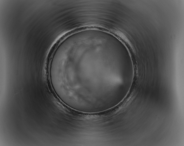 X0000088471068200705221358
