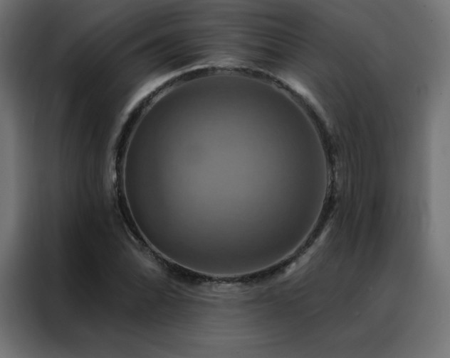 X0000088471070200705221358