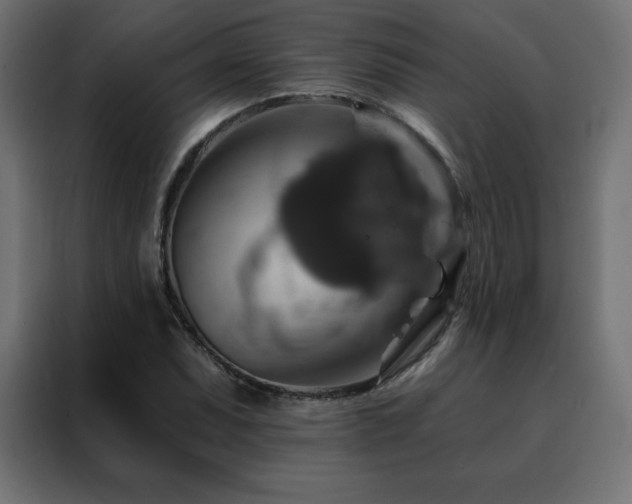 X0000088471071200705221358