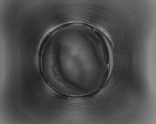X0000088471072200705221358